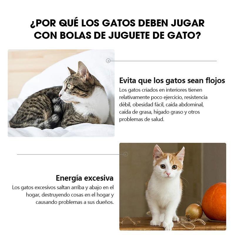 Bola láser giratoria Juguete de Perro y Gato