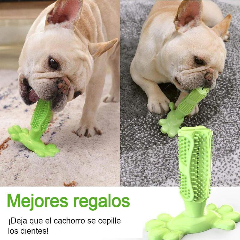 Cepillo de dientes para perros