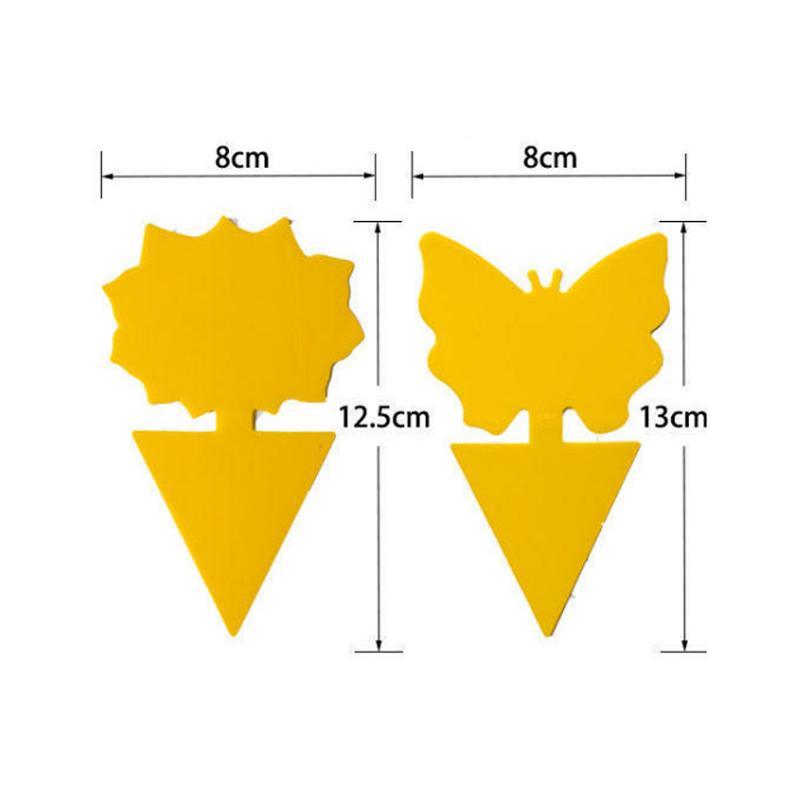 Trampa adhesiva para Mosca de la fruta Mosquito del hongo