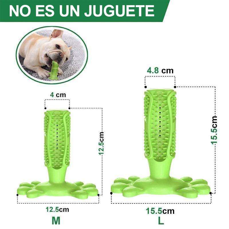 Cepillo de dientes para perros