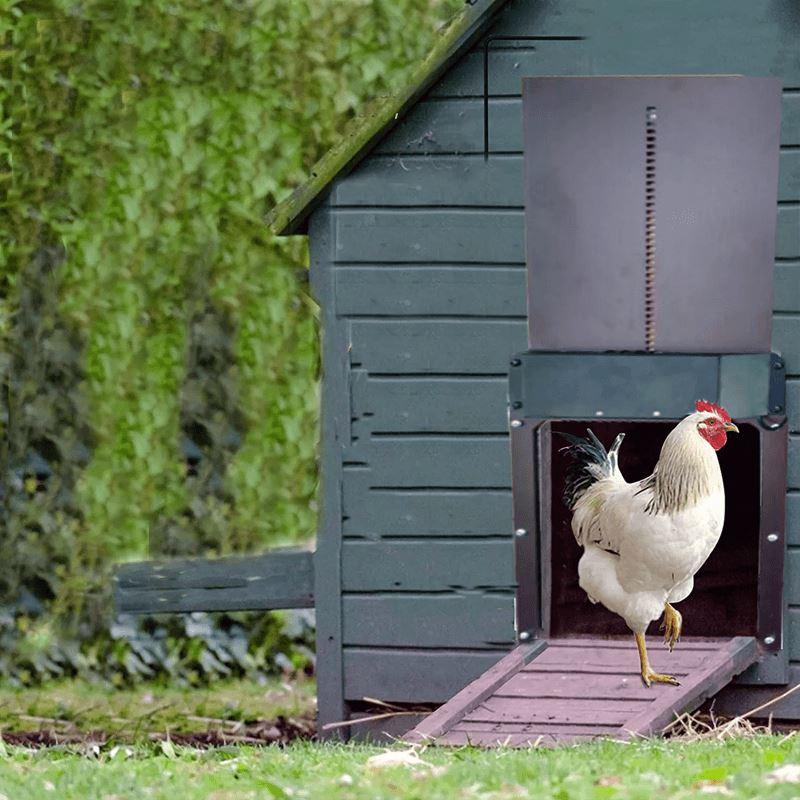 Puerta de entrada automática del pollo de la granja avícola