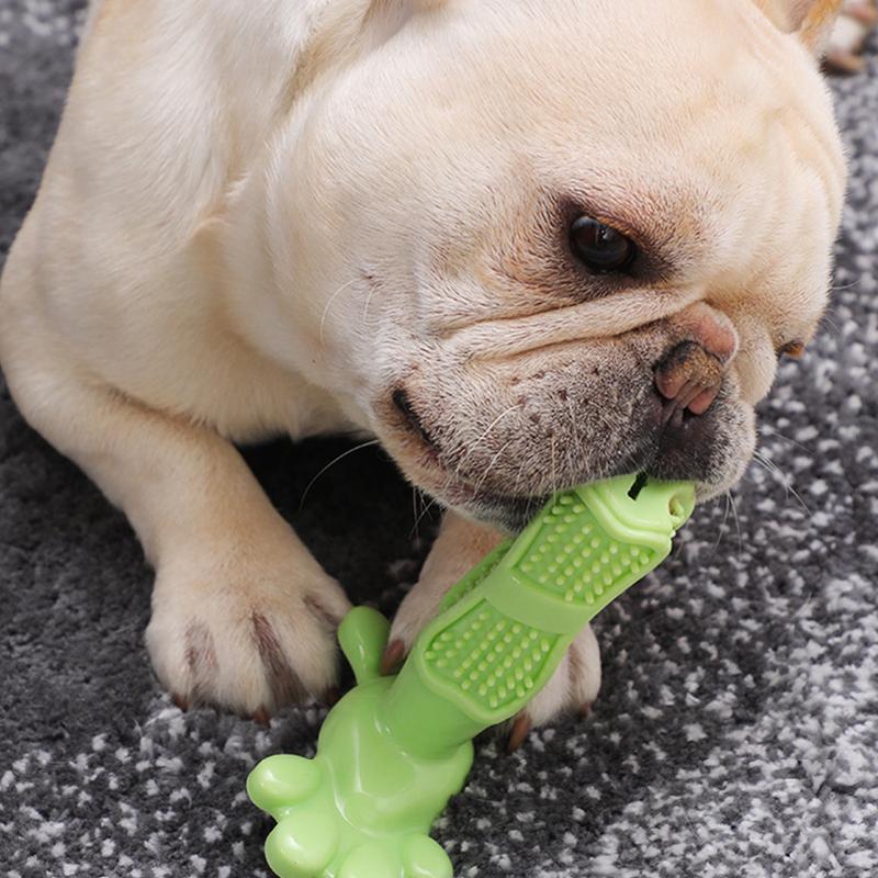 Cepillo de dientes para perros